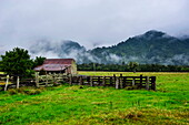 Old farm in a moody atmosphere, West Coast around Haast, South Island, New Zealand, Pacific