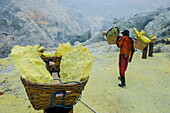 Worker carrying fully loaded baskets of sulphur out of the Ijen Volcano, Java, Indonesia, Southeast Asia, Asia