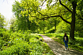 Woman strolling in a city park, Wallanlagen, Lubeck, Schleswig-Holstein, Germany
