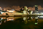 At the Guggenheim museum at night, Bilbao, Basque country, North-Spain, Spain