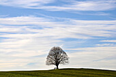 Auf dem Irschenberg, Landschaften in Bayern, Oberbayern, Bayern, Deutschland