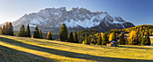 herbstliche Alm vor dem Berg Latemar, Kölbleggiesen, Nahe Nigerpass, Südtirol, Alto Adige, Dolomiten, Italien
