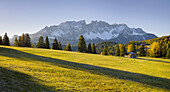 herbstliche Alm vor dem Berg Latemar, Kölbleggiesen, Nahe Nigerpass, Südtirol, Alto Adige, Dolomiten, Italien