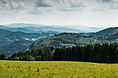 Landschaft bei Freiamt. nahe Freiburg im Breisgau, Schwarzwald, Baden-Württemberg, Deutschland