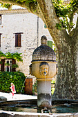 mitelalterlicher Brunnen, Vaison-la-Romaine, Département Vaucluse, Provence-Alpes-Côte d´Azur, Provence, Frankreich