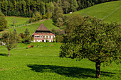 Wolfachtal, bei Wolfach, Ortenau, Schwarzwald, Baden-Württemberg, Deutschland
