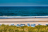 Beach chairs and dunes, Kampen, Sylt Island, North Frisian Islands, Schleswig-Holstein, Germany