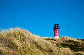 Dunes and lighthouse, Hoernum, Sylt Island, North Frisian Islands, Schleswig-Holstein, Germany