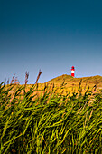 Dünen, Leuchtturm List-Ost, Ellenbogen, Sylt, Nordfriesland, Schleswig-Holstein, Deutschland