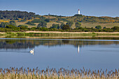 Dornbusch und Leuchtturm, Insel Hiddensee, Mecklenburg Vorpommern, Deutschland