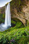 Seljalandsfoss waterfall. Iceland, Europe.