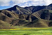 Landscape in Shigatse-Sakya Road Tibet China.