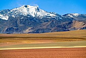 Putana Volcano. Atacama Desert, Antofagasta Region, Chile.