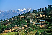 Nagarkot Himalaya Nepal