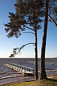 Estonia, Southwestern Estonia, Vorts Jarv lake area, Vehendi, Trepimae Beach on Vorts Jarv Lake