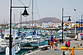 Port, Corralejo, Fuerteventura, Las Palmas, Canary Islands, Spain