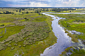 Okavango Delta, Botswana, Africa.