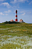 Westerhever, Germany, Schleswig _ Holstein, North Sea coast, lighthouse, pastureland
