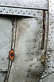 Butterfly on the metal cover, aircraft plane