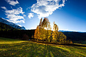 Valchava, Switzerland, canton Graubünden, Grisons, , Münster valley, trees, poplars, wood, forest, , mountain, clouds, autumn
