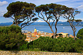 Saint_Tropez, France, Europe, Provence, Côte dAzur, Var, town, city, houses, homes, church, sea, Mediterranean Sea, trees, pines