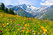 Sonnenwelleck _ 3261 m, Fuscherkarkopf _ 3154 m, Hohe Tauern, Österreich, Oesterreich,