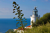 Cap de San Sebastia, Spain, Europe, Catalonia, Costa Brava, sea, Mediterranean Sea, coast, lighthouse, agaves