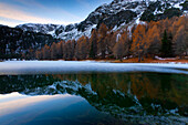 Palpuogna, lake, Switzerland, Europe, canton Graubunden, Grisons, Albula valley, mountain lake, reflection, ice, autumn, daybrea