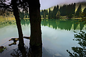 Gantrischseeli, lake, Switzerland, Europe, canton Bern, Bernese Oberland, Gantrisch area, nature reserve, Gantrisch, fog