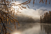 Engadin, Engadine, Champferersee, morning fog, autumn, wood, forest, canton, GR, Graubünden, Grisons, Unterengadin, Lower Engadine, lake, lakes, tree, trees, fogs, sea of fog, Switzerland, Europe,