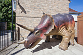 England, Dorset, Dorchester, Dinosaur Museum, Skull of a Sabretooth Tiger