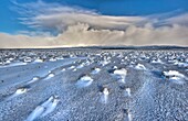 Rangipo desert dawn panorama after snow storm, cloud-covered Mt Ruapehu beyond, Tongariro National Park, New Zealaand.