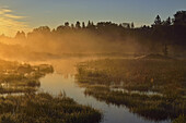 A beaver pond in late summer at dawn, Greater Sudbury, Ontario, Canada.