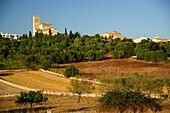 Parish Church of Our Lady of Atocha XVI century Ariany Mallorca Illes Balears Es Pla Spain.