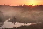 Bialowieza Forest UNESCO World Heritage Site Eastern Poland