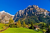 Grindelwald, Swiss Alps, Canton Bern, Switzerland