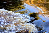 water flowing in a river