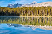 Leach Lake and Rocky Mountains, Jasper National Park, Alberta, Canada