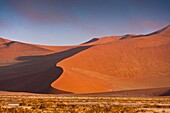 The red dunes of the Sossusvlei at dawn, Namib Naukluft Park, Namibia, Africa