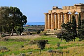 Italy, Sicily, Selinunte, Ruins of the Doric temple Temple E
