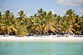 america, caribbean sea, hispaniola island, dominican republic, saona island, sea and beach with palms