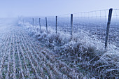 Farm in winter. Maturana, Alava, Basque Country. Spain, Europe.