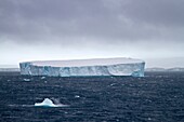Iceberg detail in the Weddell Sea near the Antarctic Peninsula during the summer months, Southern Ocean  MORE INFO An increasing number of icebergs are being created as climate change is causing the breakup of major ice shelves and glaciers throughout the