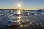Sunset over icebergs calved from the Ilulissat Glacier, a UNESCO World Heritage Site, Ilulissat, Greenland.