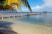 Beach Roatan, Honduras