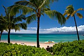 A beautiful day at Napili Bay, Maui, Hawaii, USA