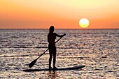Stand up paddler at sunset at Olowalu, Maui, Hawaii, USA