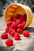 Punet of fresh picked raspberries