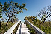Boardwalk to Beach - Sanibel Island, Florida USA