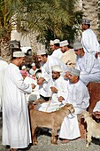 Oman, Al-Dakhiliyah, Nizwa, livestock souq, goats, people.